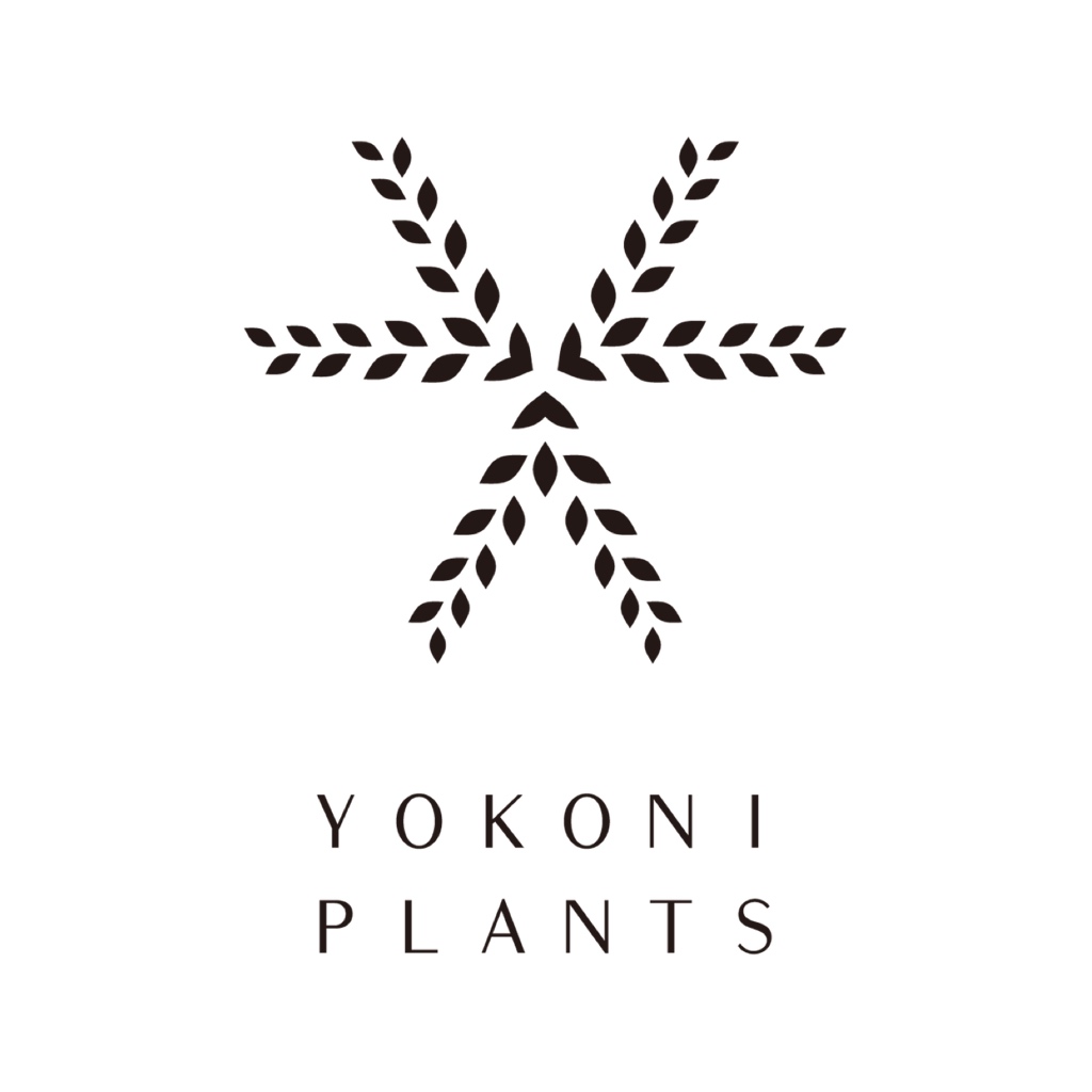 YOKONI PLANTSオープン